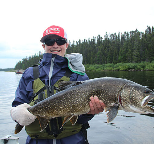 Kanadaröding (Salvelinus namaycush) – Allt du Behöver Veta